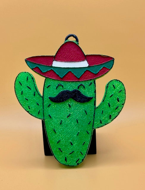 Cactus w/Sombrero